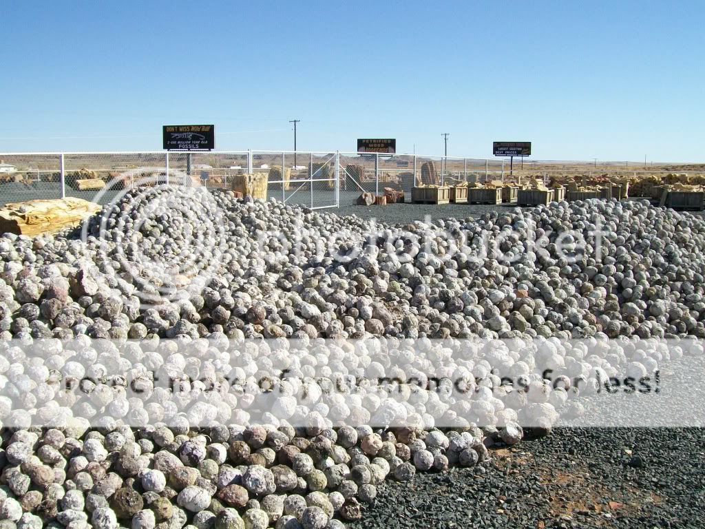 Want to cut a Geode? Rock Tumbling Hobby